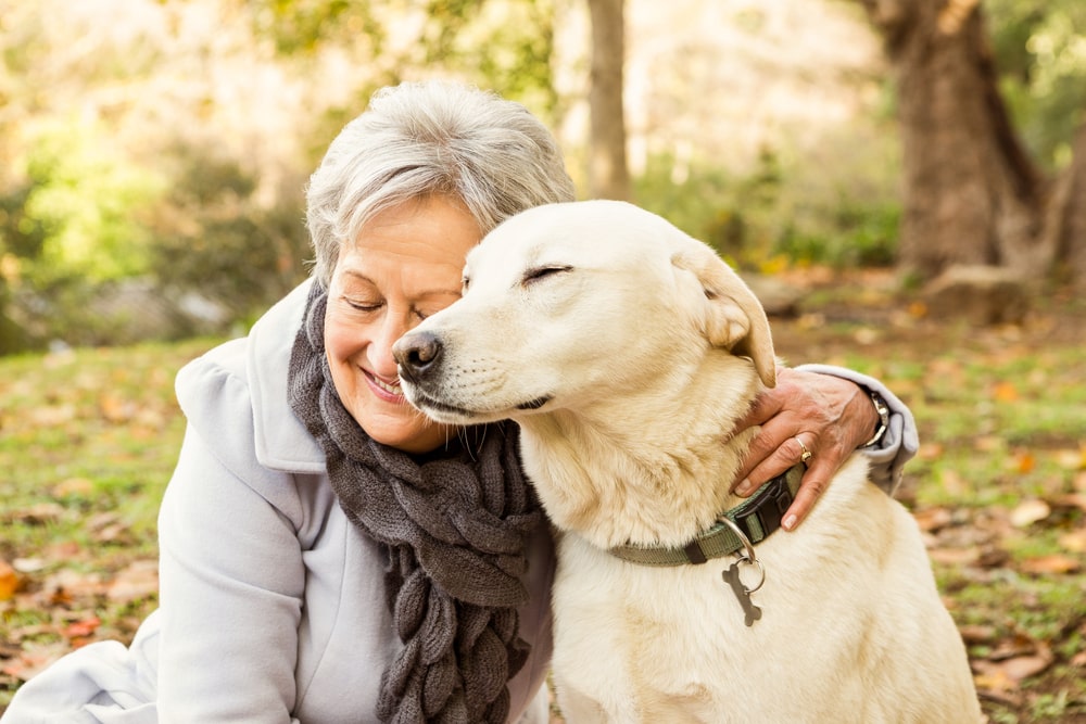 Dog Ownership In Retirement