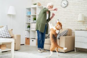 Dog Ownership In Retirement